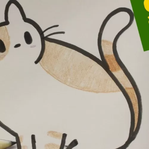 kawaii facil dibujos de gatos