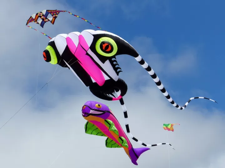 pelicula kite